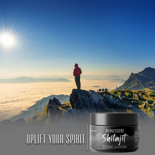 Shilajit 30g aus dem Himalaya-Gebirge