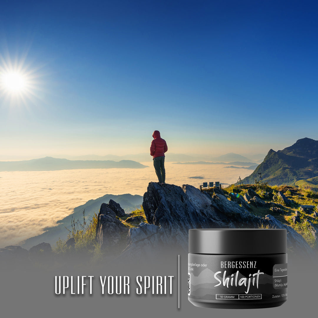 Shilajit 50g aus dem Himalaya-Gebirge