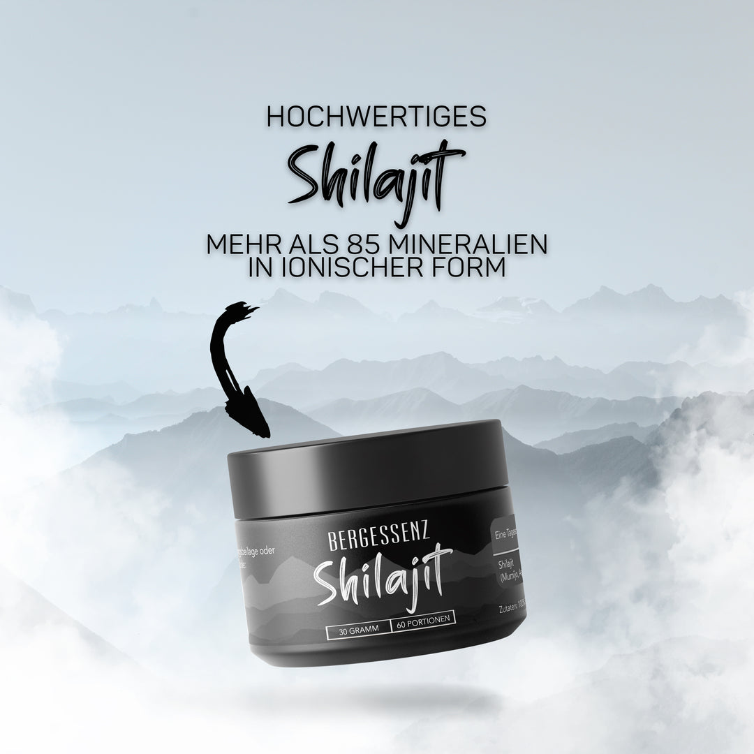 Shilajit 30g aus dem Himalaya-Gebirge